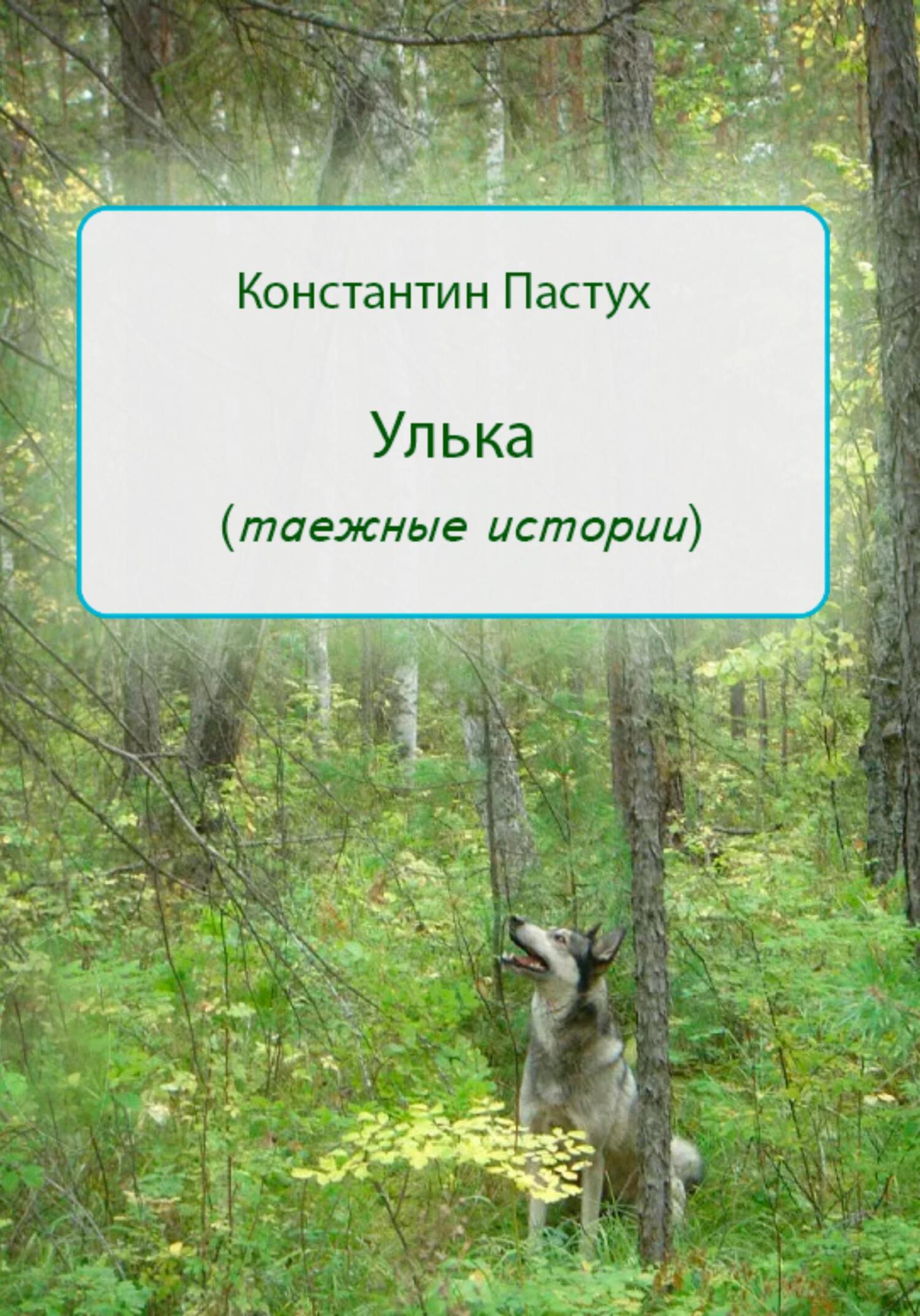 Улька - Константин Пастух