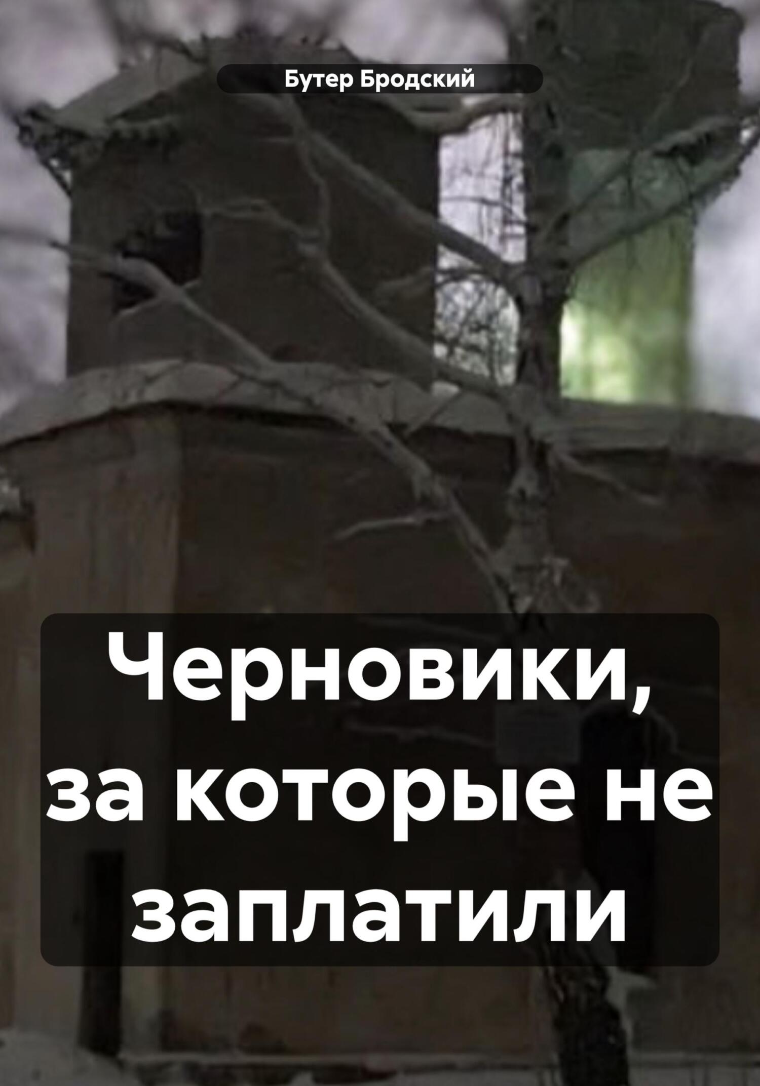 Черновики, за которые не заплатили - Бутер Бродский