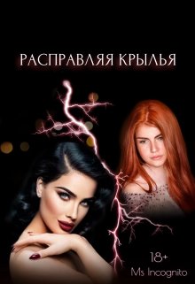 Расправляя крылья - Ms Incognito