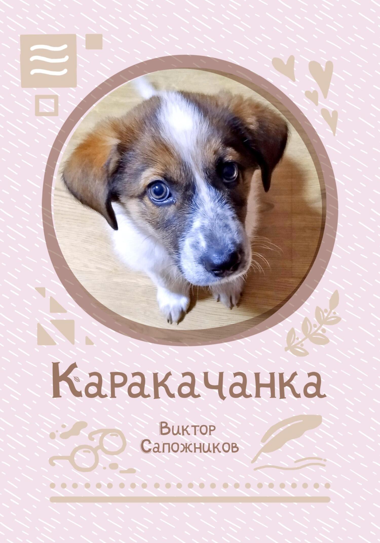 Каракачанка - Виктор Сапожников