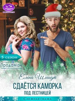 Сдаётся каморка под лестницей - Елена Шмидт