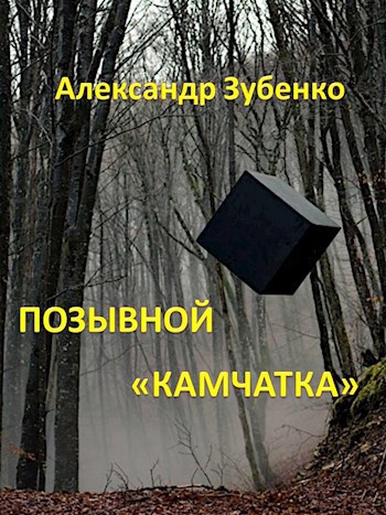 Позывной "Камчатка" - Александр Зубенко