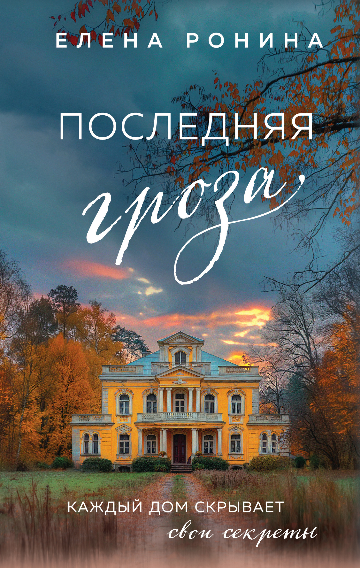 Последняя гроза - Елена Николаевна Ронина