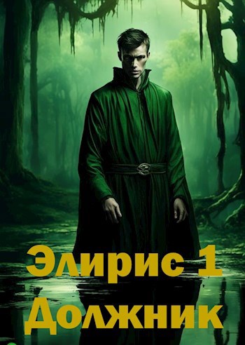 Элирис. Книга 1. Должник - Валентин Якимов