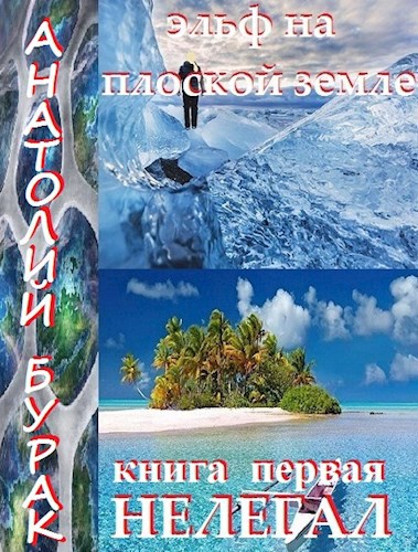 Эльф на плоской Земле. Книга 1. Нелегал. - Анатолий Бурак