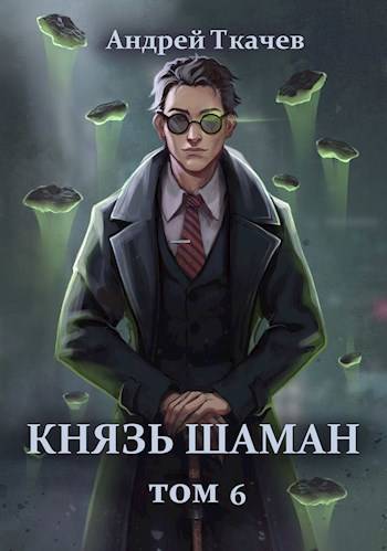 Князь шаман. Том 6 - Андрей Сергеевич Ткачев