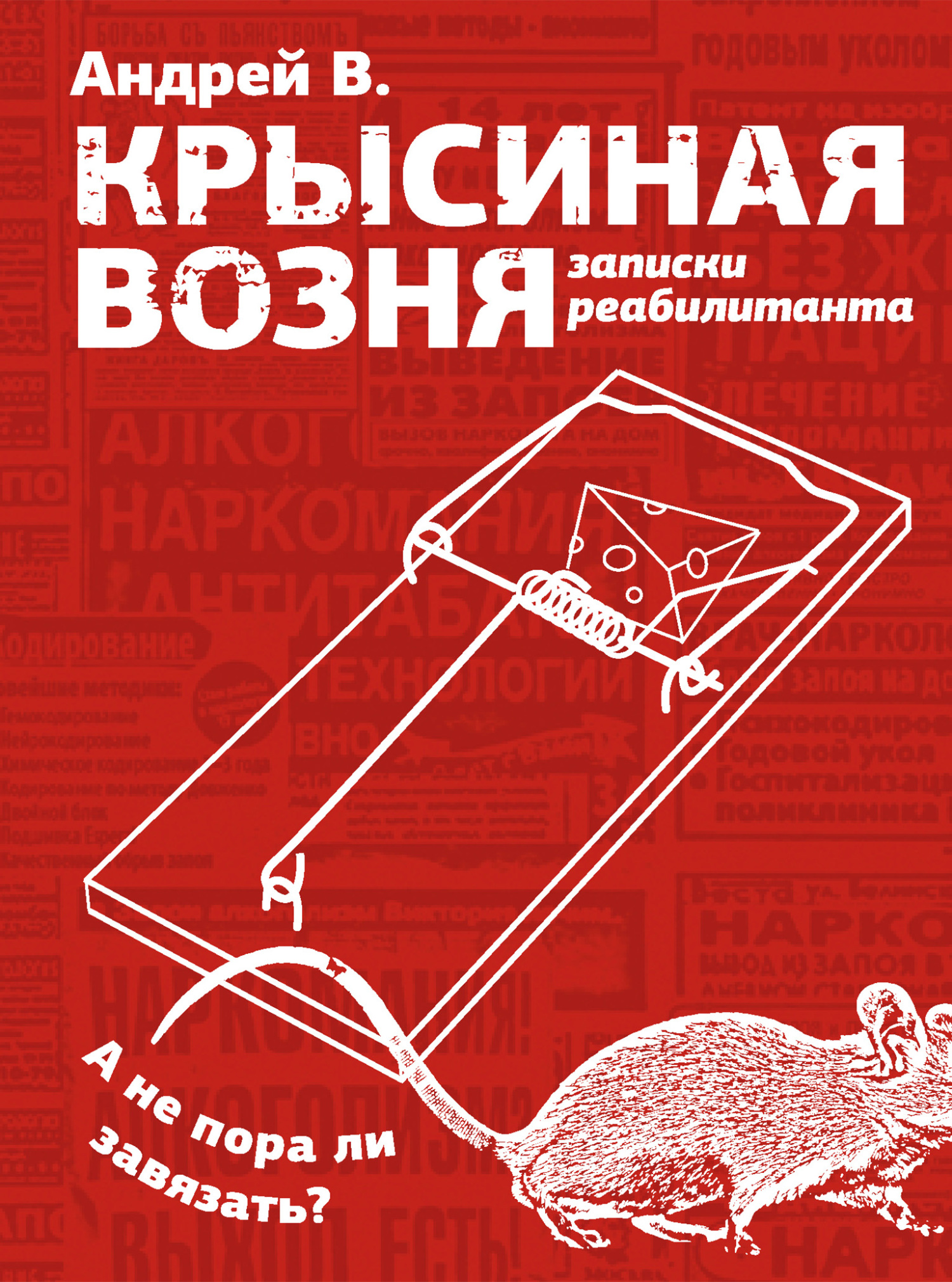 Крысиная возня. Записки реабилитанта - Андрей В.