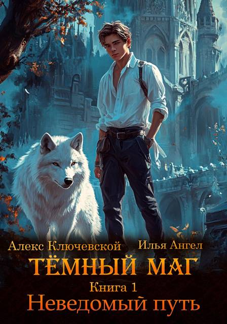 Неведомый путь - Алексей Игоревич Ильин