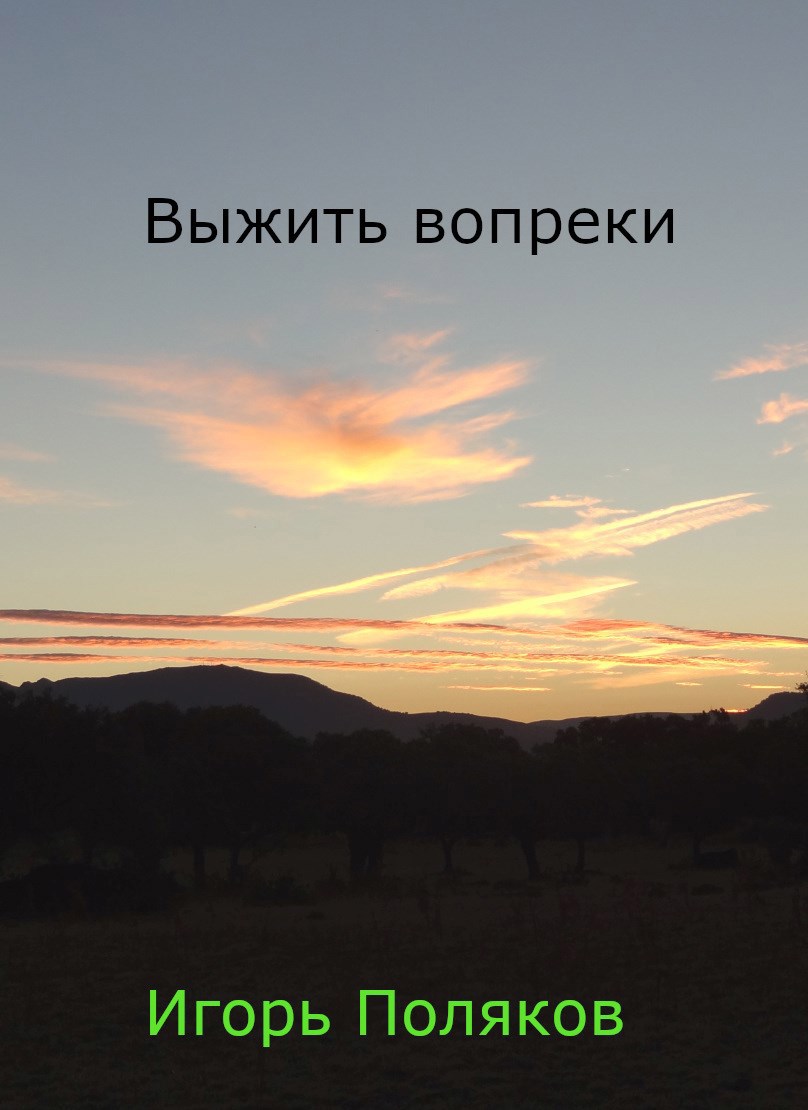Выжить вопреки - Игорь Викторович Поляков