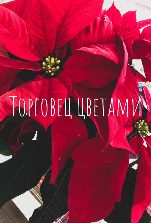 Торговец цветами - YeliangHua