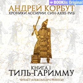 Тиль Гаримму - Андрей Евгеньевич Корбут