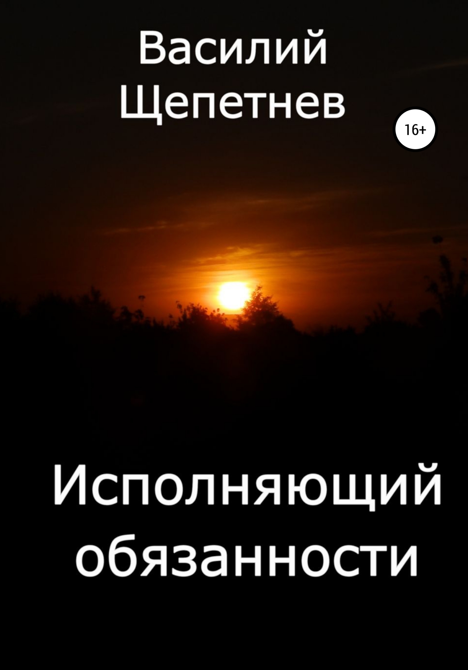Исполняющий обязанности - Василий Павлович Щепетнёв