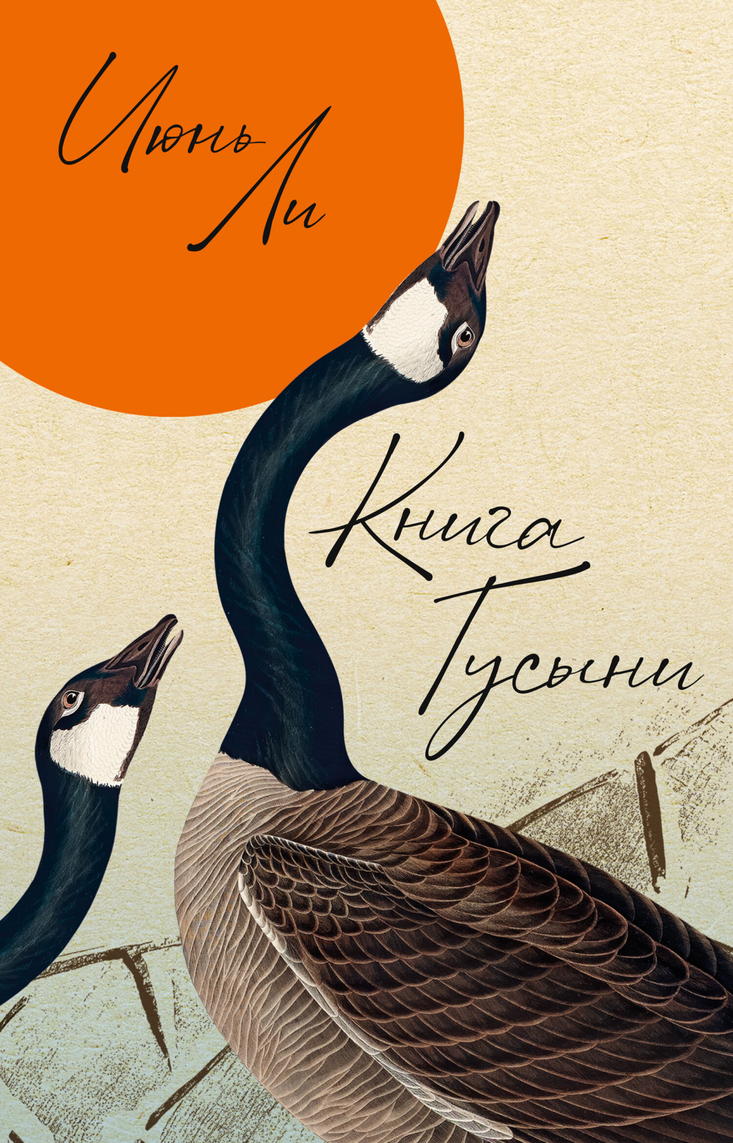 Книга Гусыни - Июнь Ли