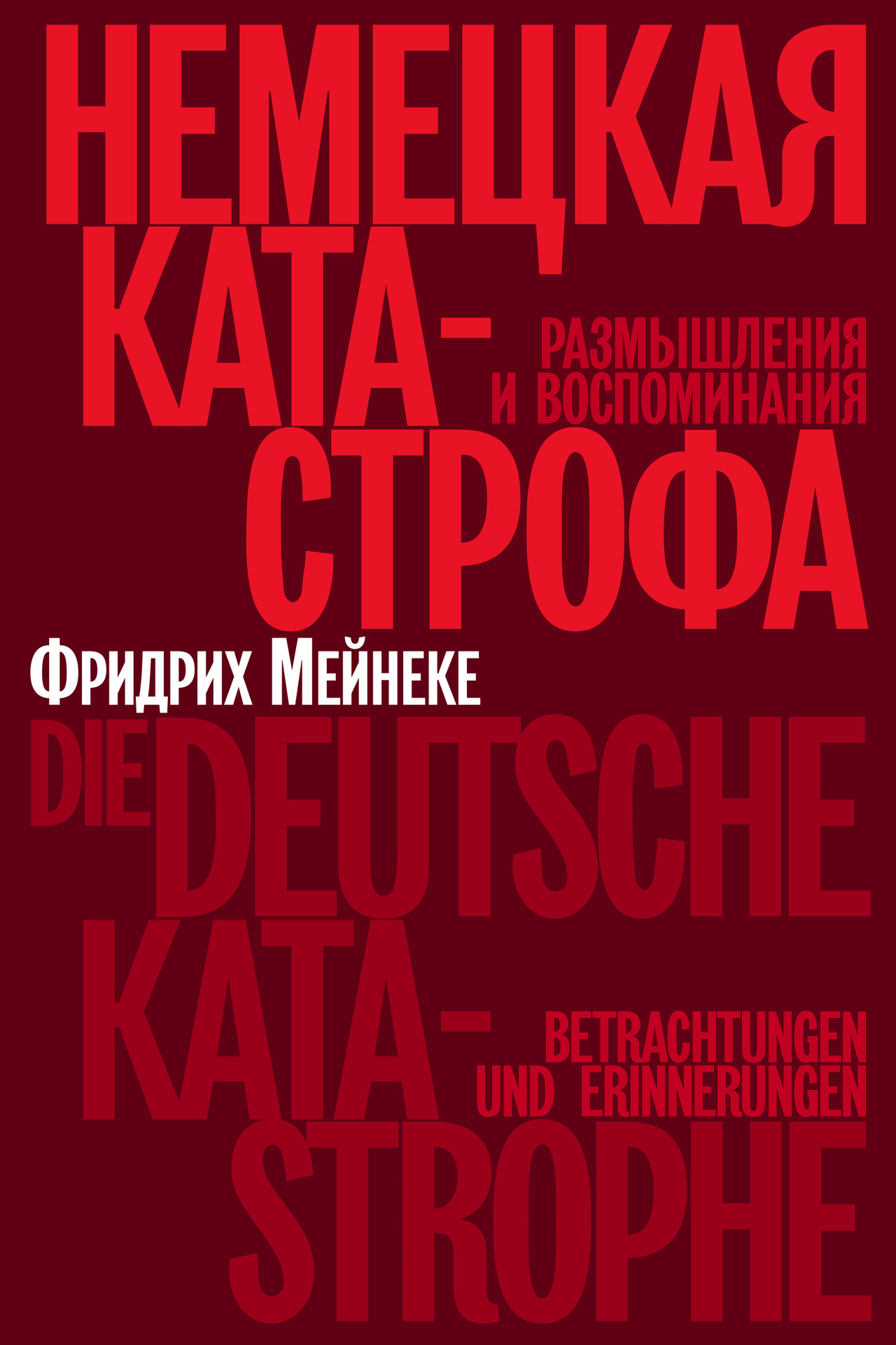 Немецкая катастрофа. Размышления и воспоминания - Фридрих Мейнеке