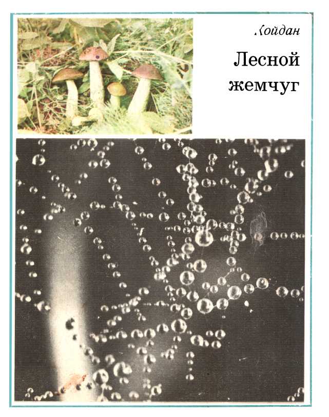 Лесной жемчуг - Сергей Андреевич Койдан