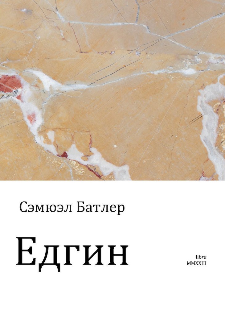Едгин, или По ту сторону гор - Сэмюэл Батлер