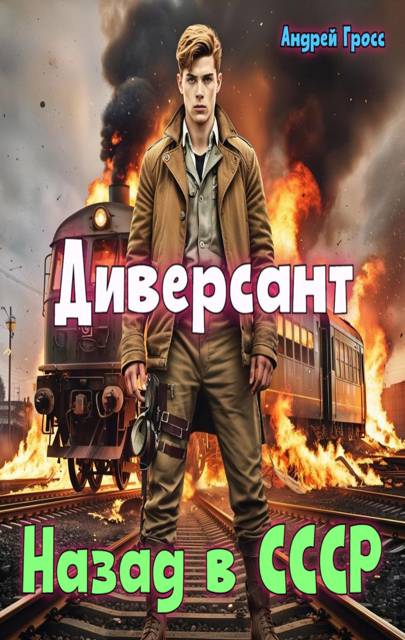 Диверсант. Назад в СССР - Андрей Гросс