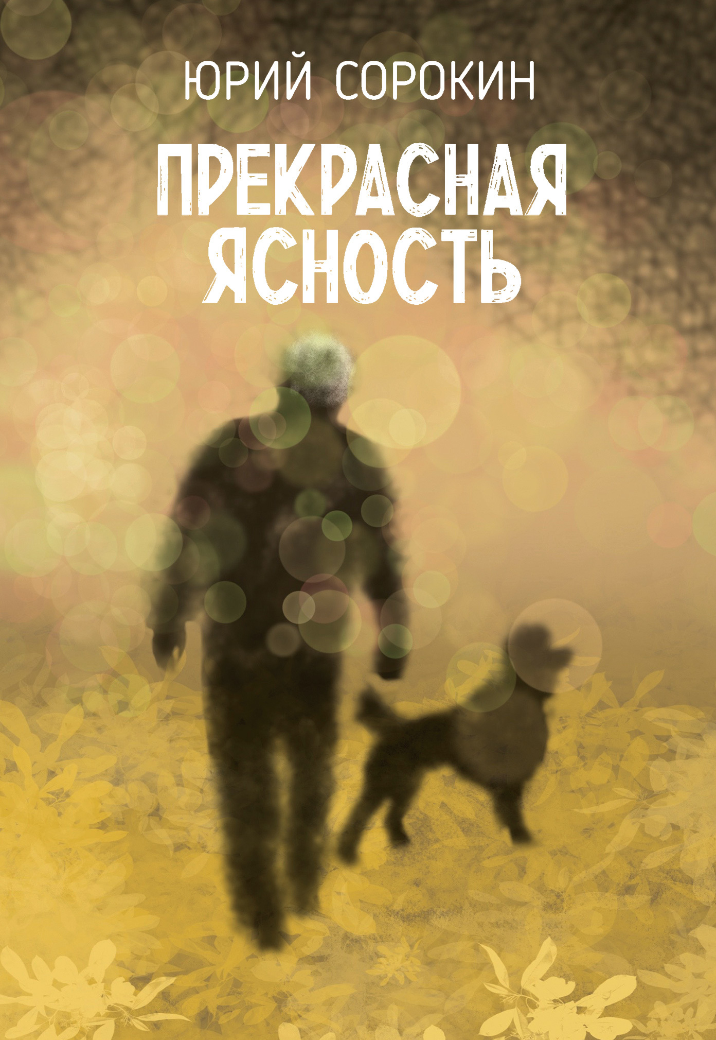 Прекрасная ясность - Юрий Александрович Сорокин
