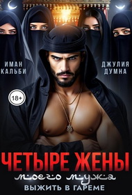 Четыре жены моего мужа. Выжить в гареме - Иман Кальби