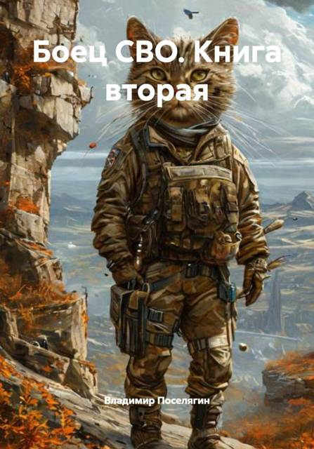 Боец СВО. Книга вторая - Владимир Геннадьевич Поселягин