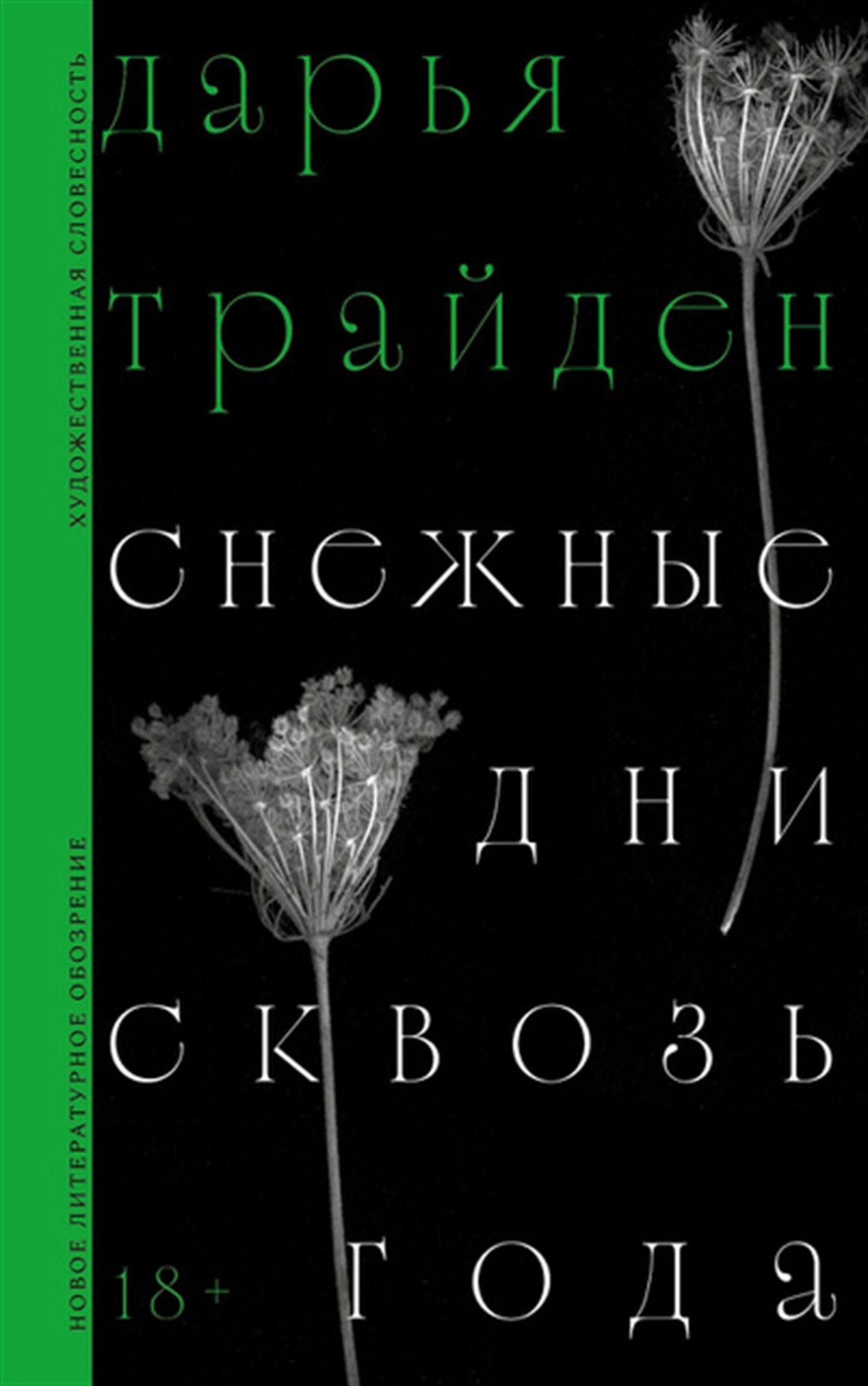 Снежные дни сквозь года - Дарья Трайден