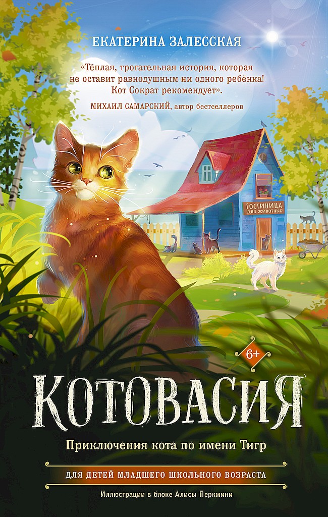 Котовасия. Приключения кота по имени Тигр - Екатерина Васильевна Залесская
