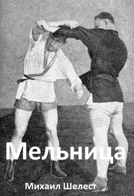 Мельница-4 - Михаил Васильевич Шелест
