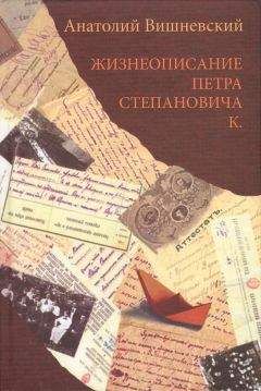 Анатолий Вишневский - Жизнеописание Петра Степановича К.